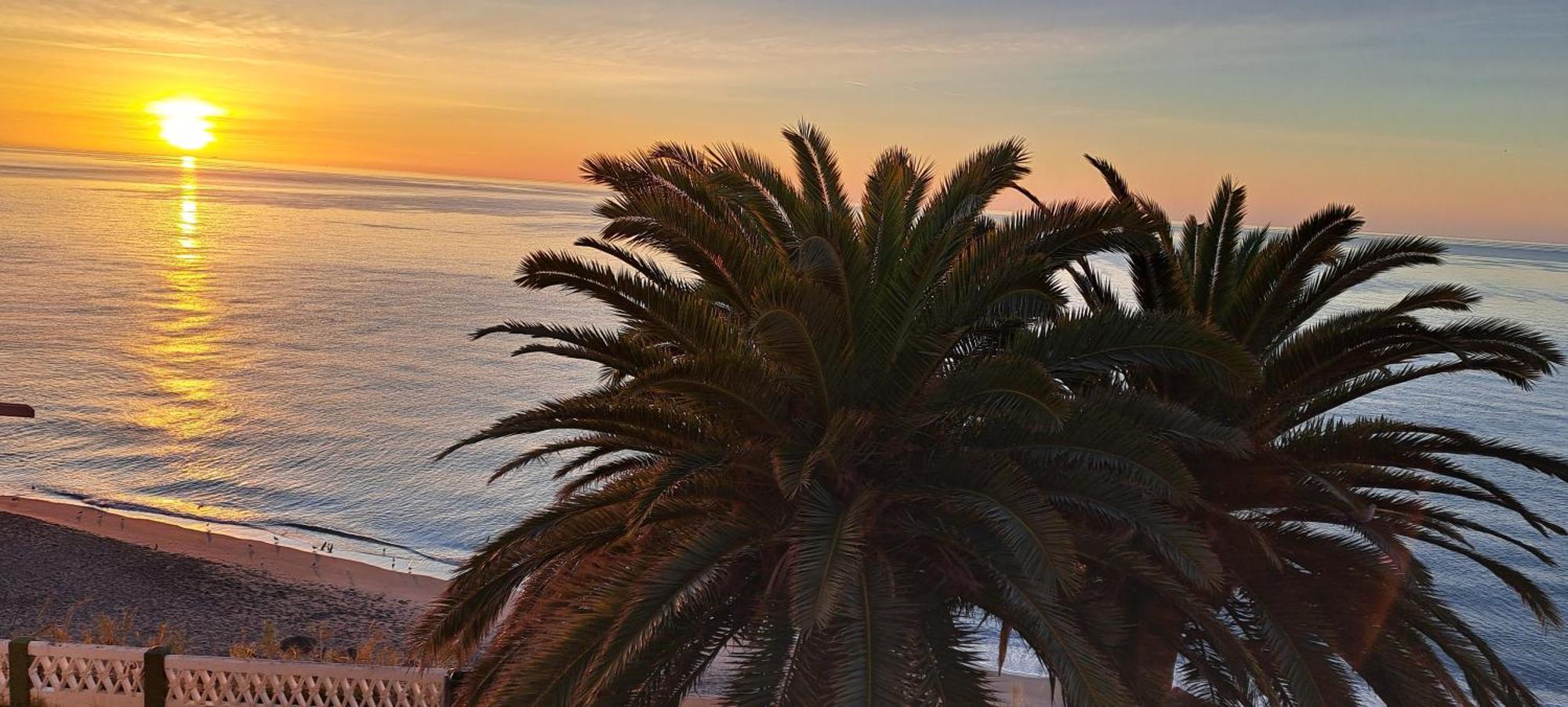 ネルハAcapulco Playa Beautiful Seaviewアパートメント エクステリア 写真